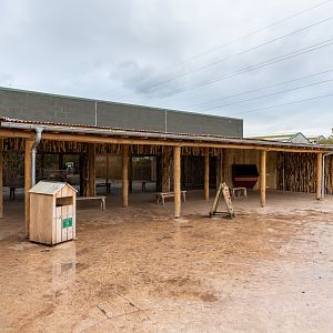 New Lion Enclosure Indoor Area - 20/10/2019