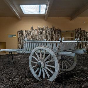 New Lion Enclosure Indoor - 20/10/2019