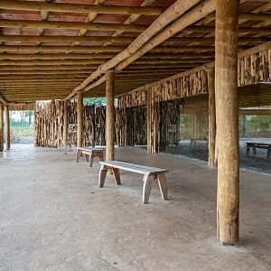 New Lion Exhibit Covered Viewing - 20/10/2019