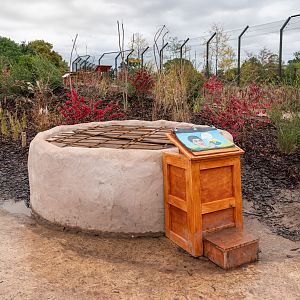 New Lion Exhibit Well - 20/10/2019