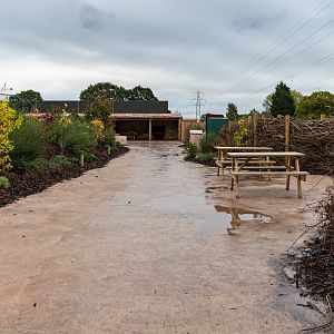 New Lion Exhibit Pathway - 20/10/2019
