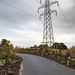 New Lion Exhibit Entrance - 20/10/2019