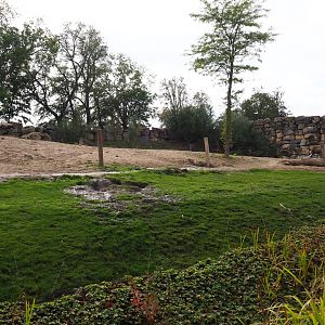 African bush elephant paddock, 2019-10-04