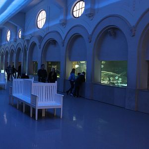 View into the Aquarium