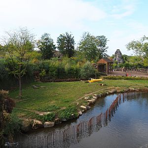 Spotted hyena exhibit, 2019-10-04