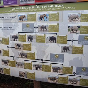 Elephants at Pairi Daiza sign, 2019-10-04