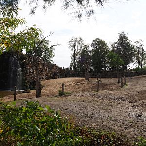 Grant's zebra, Cape buffalo, Blesbok and Blue wildebeest paddock, 2019-10-04