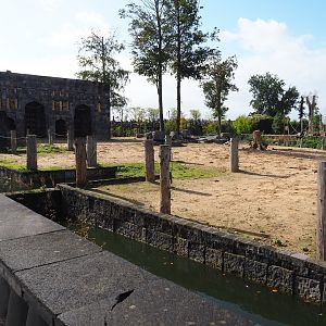 Second Asian elephant paddock next to the Asian elephant temple, 2019-10-04