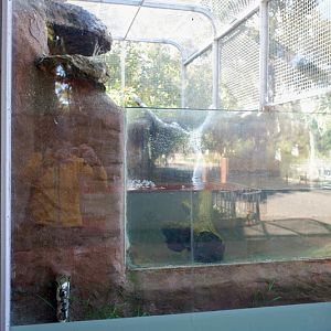 fishing cat exhibit