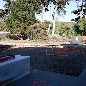 snow leopard expansion (2020)