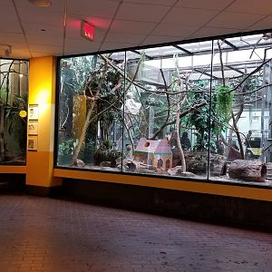 Smithsonian - First two exhibits in Small Mammal House
