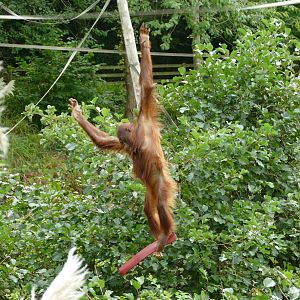 She flies through the air with the greatest of ease. October 2019