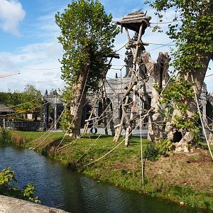 First Sumatran orangutan island, 2019-10-04