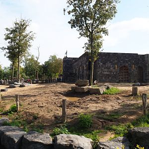 Second Asian elephant paddock next to the Asian elephant temple, 2019-10-04