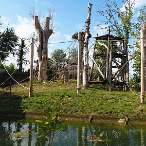 Second Sumatran orangutan island, 2019-10-04