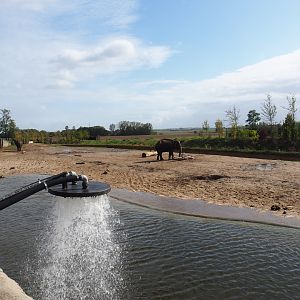 Third Asian elephant paddock, 2019-10-04