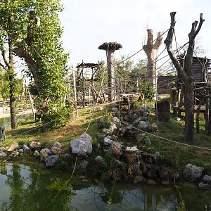 Second Sumatran orangutan island, 2019-10-04