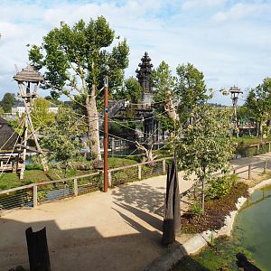 First Sumatran orangutan island, 2019-10-04