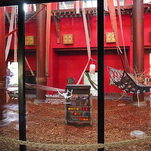 Indoor housing for the second Sumatran orangutan exhibit, 2019-10-04
