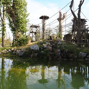 Second Sumatran orangutan island, 2019-10-04