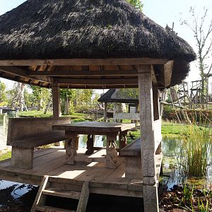 Picnic gazebo, 2019-10-04