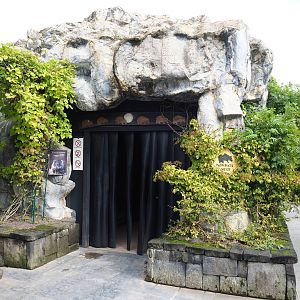 Tasmanian wombat cave, 2019-10-04