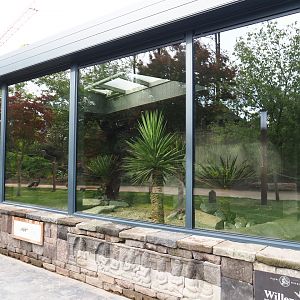 Komodo dragon house, 2019-10-04