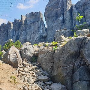 Snow Leopard Enclosure