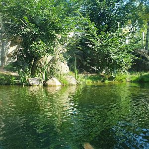 Siberian tiger enclosure, Tiger Taiga