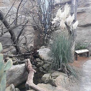 Rakos' house - Walkthrough aviary