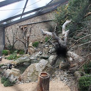 Rakos' house - Australian aviary