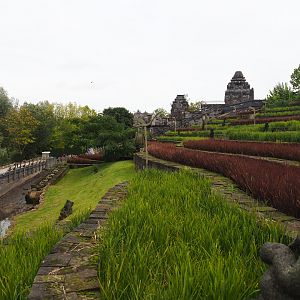The Kingdom of Ganesha - Terraced rice paddies, 2019-10-04