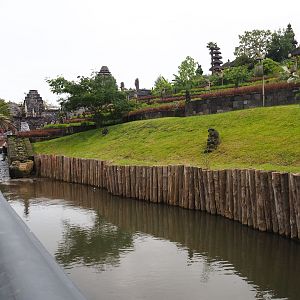 Water buffalo pool, 2019-10-04