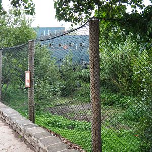 Shoebill aviary next to the Mersus Emergo, 2019-10-04