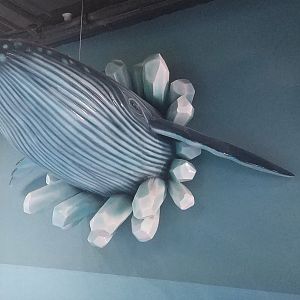 Whale in a Wall