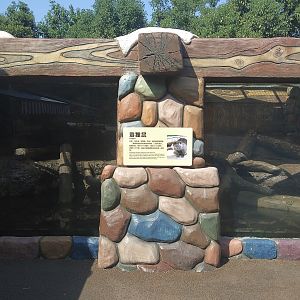 Coypu Exhibit