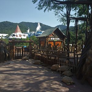 African Spurred Tortoise