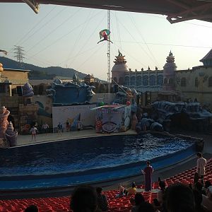 The Human Flying Squirrel