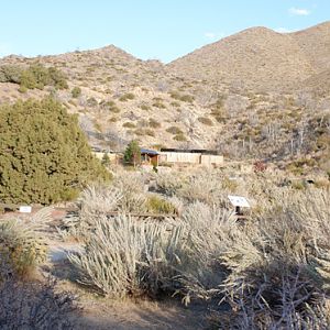 view to black bear exhibit