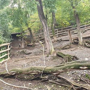 Northern blue sheep enclosure