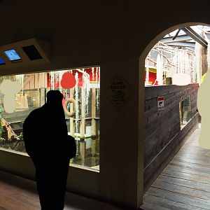 American alligator and slider turtle exhibit, 2019-10-04