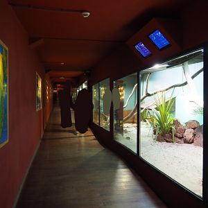 Example of a visitor corridor alongside reptile terraria in the Mersus Emergo, 2019-10-04