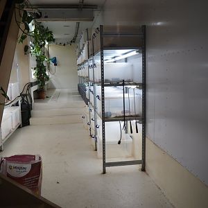 Behind-the-scenes reptile husbandry room, 2019-10-04