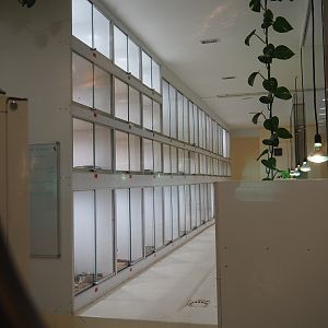 Behind-the-scenes reptile husbandry room, 2019-10-04