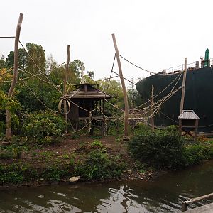 Siamang island, 2019-10-04