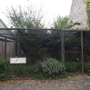 Greater roadrunner aviary, 2019-10-04