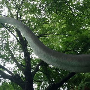 Animatronic dinosaurs, Bronx Zoo, July 2019