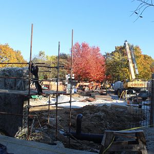 Hippo Haven Construction