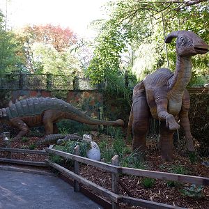 dinosaur display
