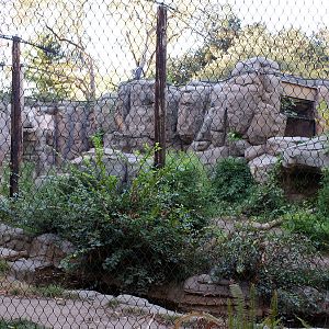 jaguar exhibit